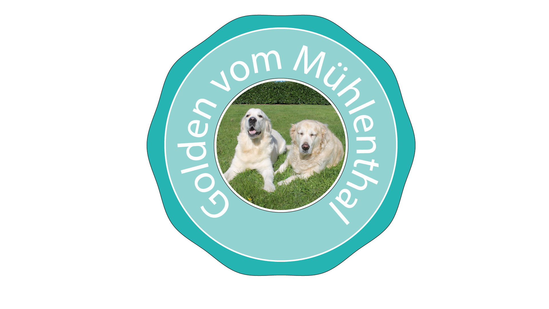 Golden vom Mühlenthal